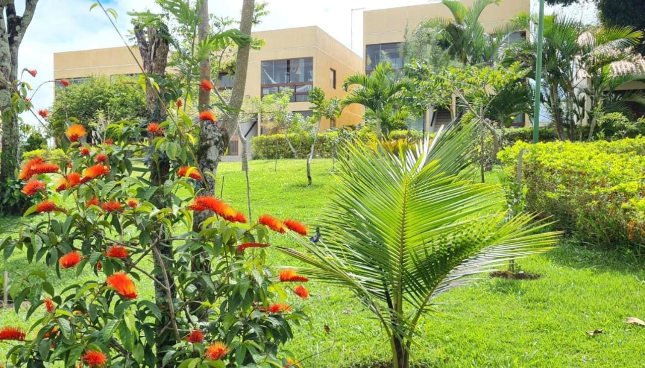 Apartment Flat Paraiso Em Serra Negra- Bezerros/pe